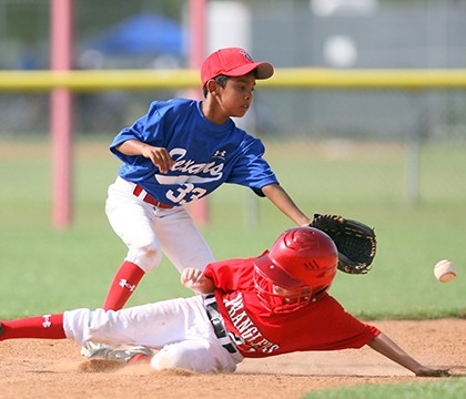 Terrains de baseball