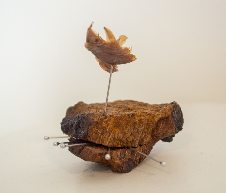 La galerie d’art Léonard-Parent présente l’exposition « la forêt creuse l’intérieur » de Mélissa C Pettigrew